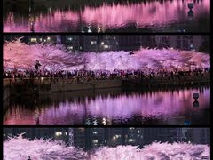 -西北湖绿化广场