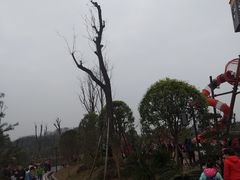 -枫香湖儿童公园