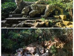 -虎跑公园