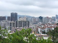 -猫咪博物馆(顶澳仔猫街店)