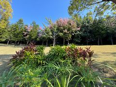 -牛岗山公园