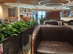 -青岛胶东国际机场