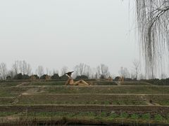 -乌村