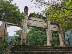 -南山植物园