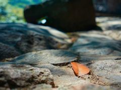 -白云源风景区