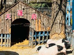 -沈阳森林动物园