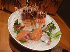-月龍吟(朝龙汇店)