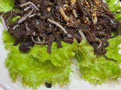 -蒙古人烹羊专家(东风大街店)