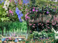 -武汉园博园(武汉自然博物馆)