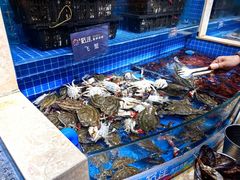 -乔哥铭洋海鲜自助(皇城恒隆广场店)