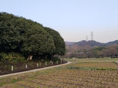 -八卦田遗址公园