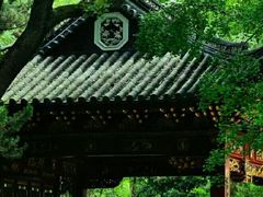 -上海共青森林公园