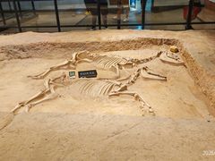 -洛阳周王城天子驾六博物馆