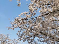 -长田漾湿地公园