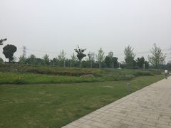 -九里河湿地公园
