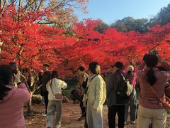 -灵谷景区