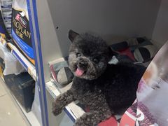 -北京观赏动物医院·24小时大型综合·猫专科·异宠专科