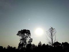 -铁山坪森林公园