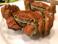 -王宝和酒家(黄浦店)