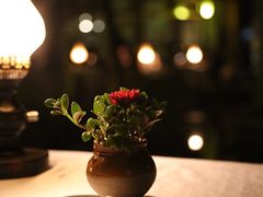 -新竹里馆·花园餐厅(兴苑路店)