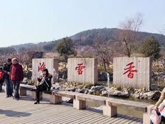 -香雪海