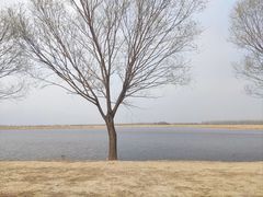 -野鸭湖国家湿地公园