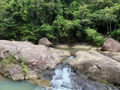 -广州白江湖森林公园