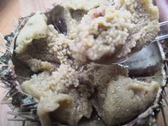 -海胆小馆(东北水饺·春柳店)