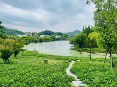 -慈城古县城景区