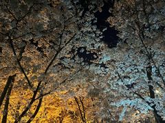 -龙美术馆(西岸馆)