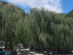 -碓臼峪自然风景区