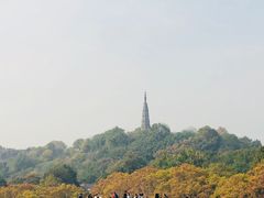 -西湖游船