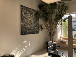 -Hair  Gallery