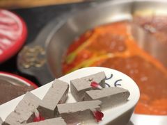 -大龙燚火锅(春熙店)