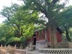 -晋祠公园