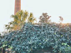 -The Grounds of Alexandria