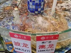 -寻味顺德·珍之宝酒楼(银钻店)
