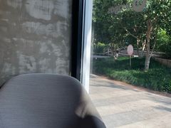 -Wagas沃歌斯(大学路店)