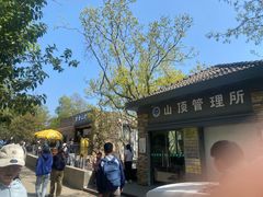 -紫金山山顶公园
