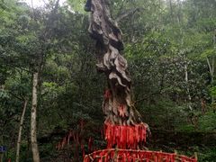 -燕子河大峡谷天坑仙境