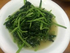 菠菜-做了不起的80后