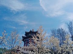 -湛山寺