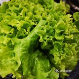 韩式烤肉！必去！
