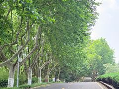 -宜兴龙背山森林公园