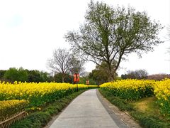 -东方绿舟景区