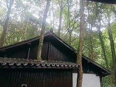 -富春桃源风景区