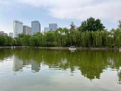 -团结湖公园