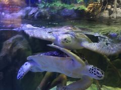 -欢乐海岸海洋奇梦馆