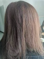 -镁连社·美联社