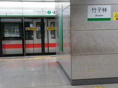 -竹子林(地铁站)